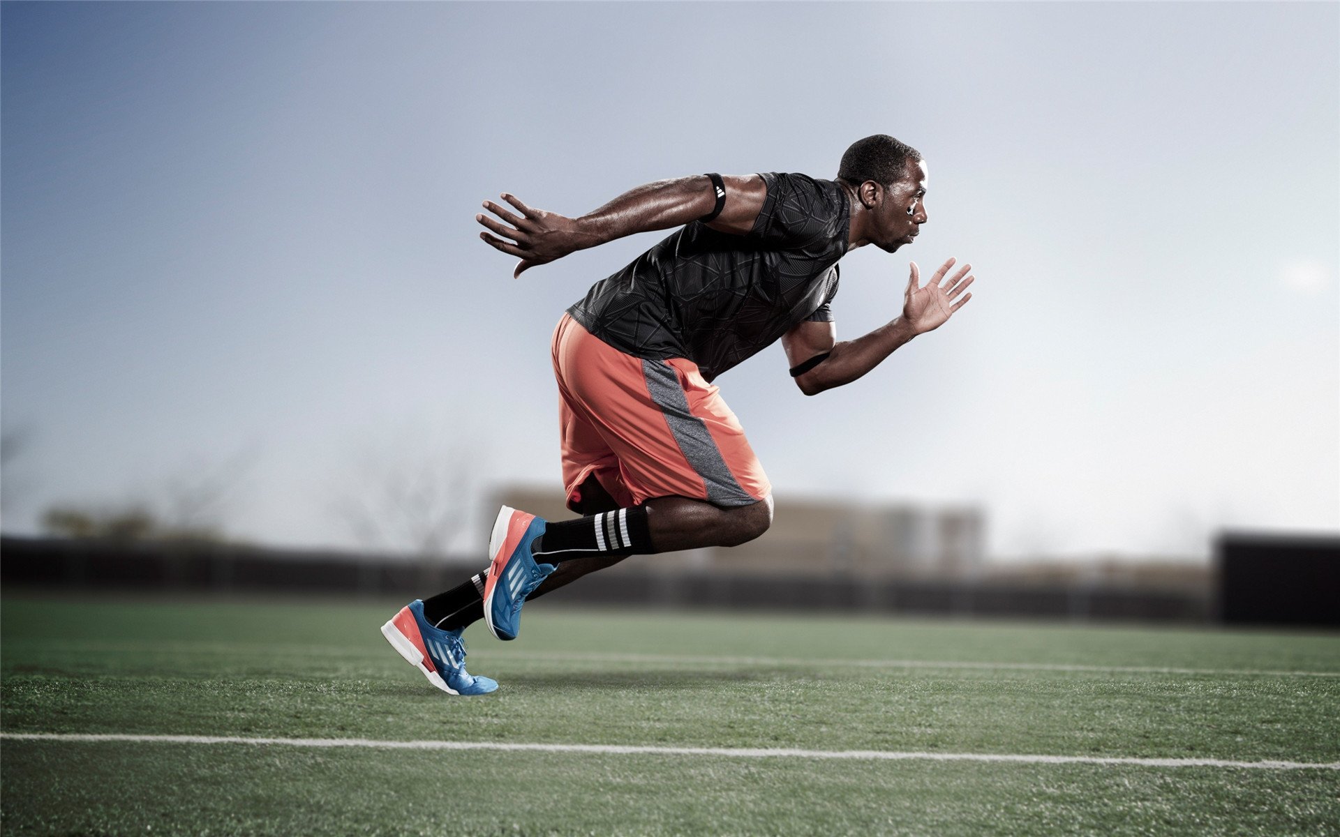 布莱顿进攻端火力凶猛，海鸥军团争夺欧战，布莱顿为什么叫海鸥