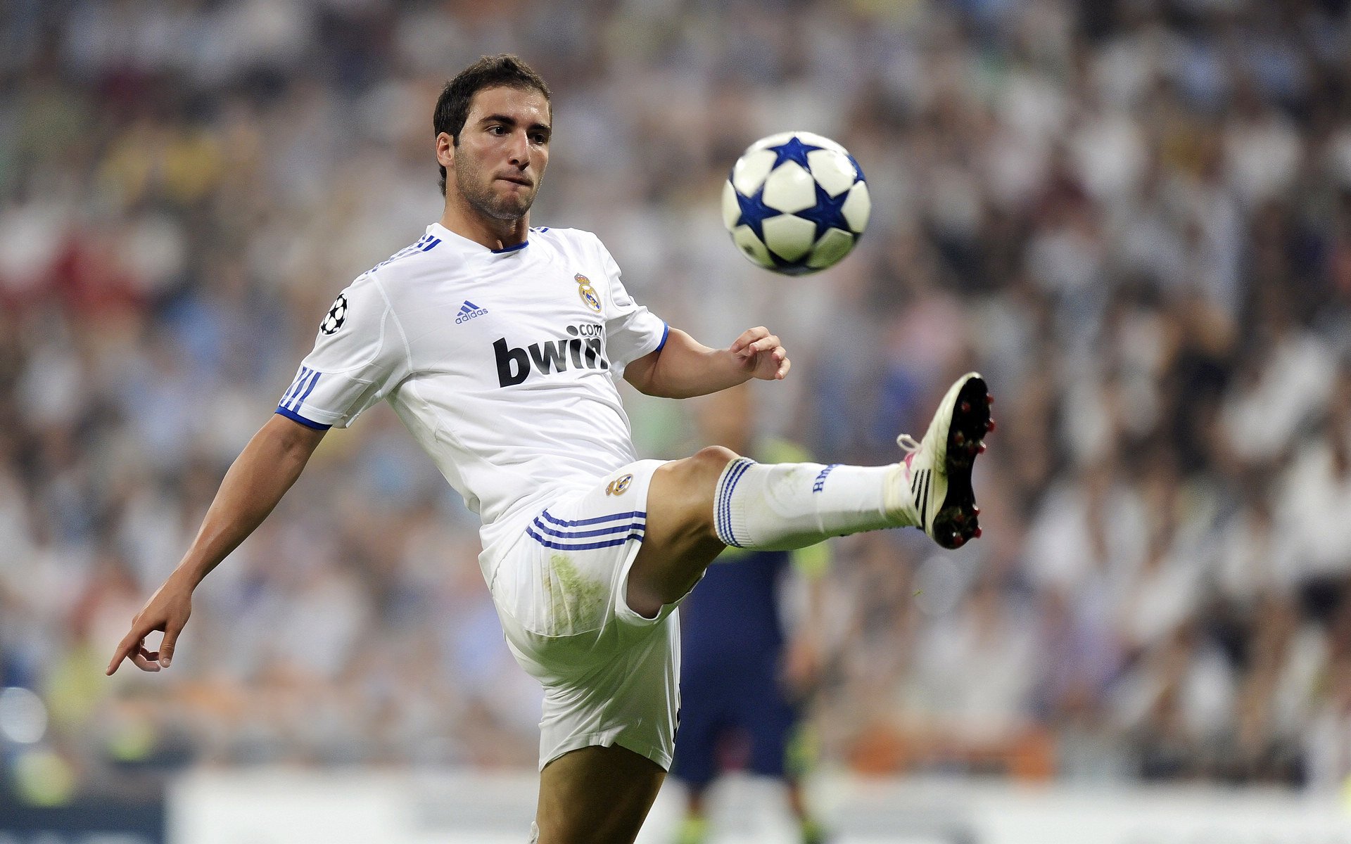 欧洲NBA球员大放异彩，引来更多球迷追捧，2020nba欧洲球员